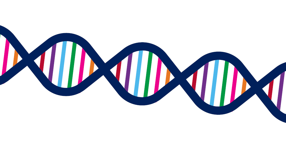 dna
