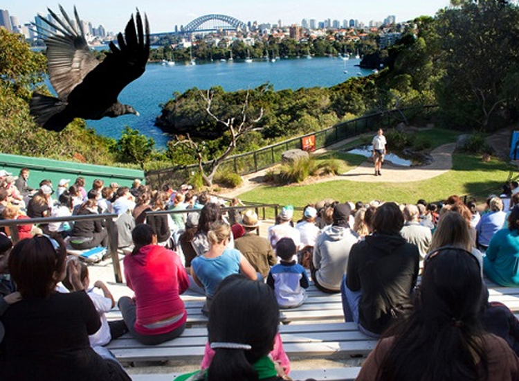 Taronga Zoo