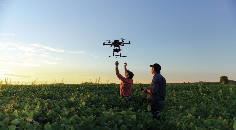 Two men flying a drone in an agricultural field