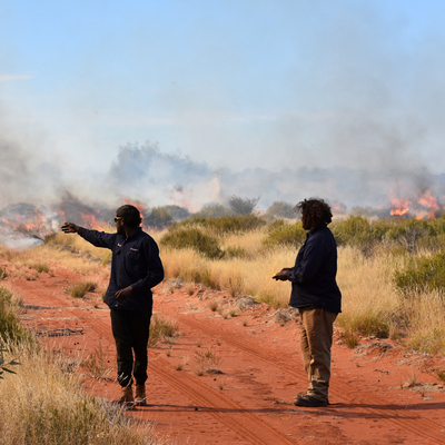 Local grant winners Bush Heritage burning bush