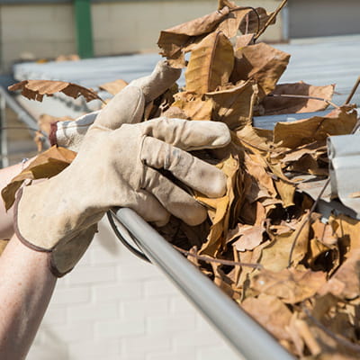 Gloved hands removing leaf debris from roof gutter
