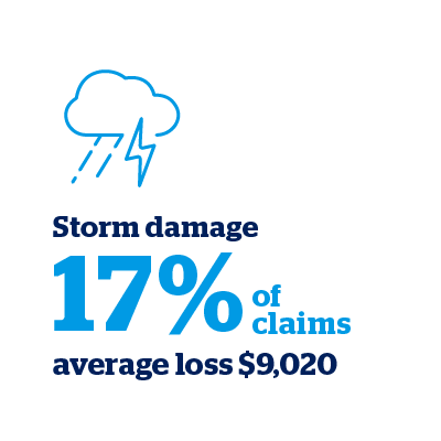 Storm damage - 17% of claims (average loss $9,020)