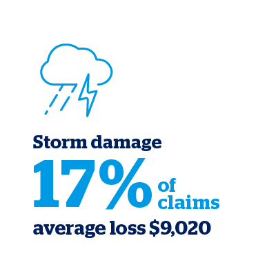 Storm damage - 17% of claims (average loss $9,020)