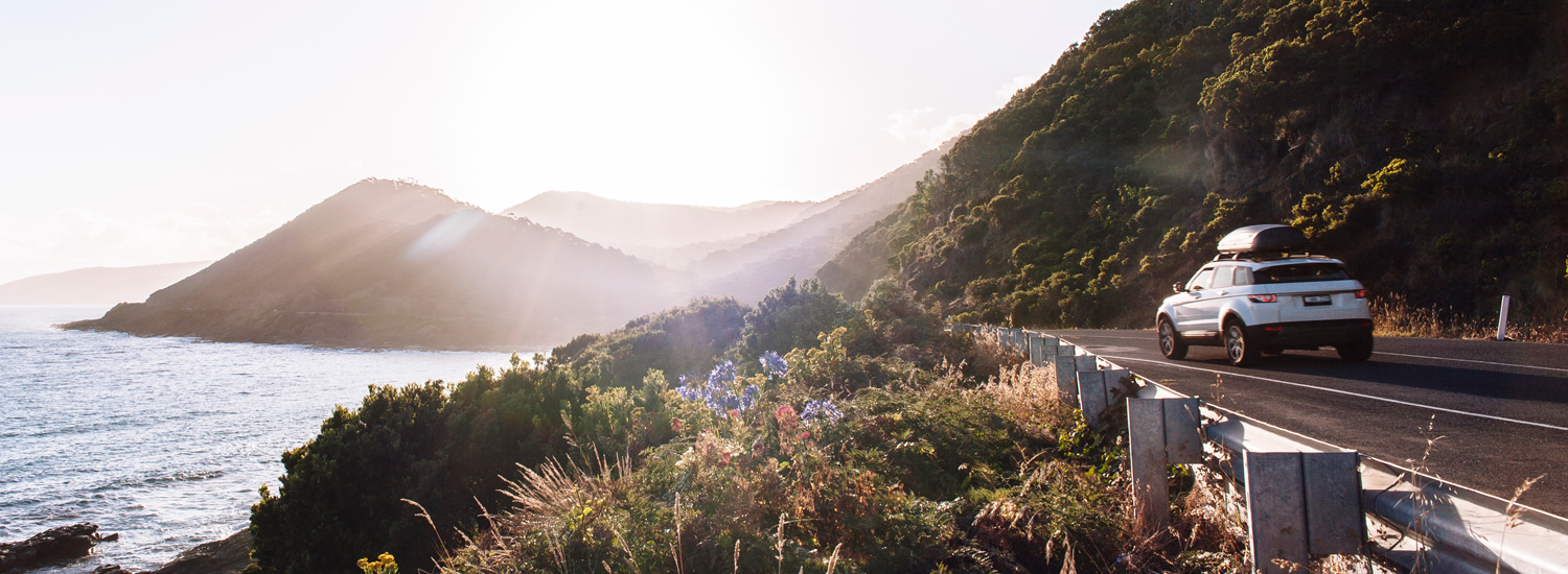 What to do if you hit a kangaroo whilst driving QBE AU