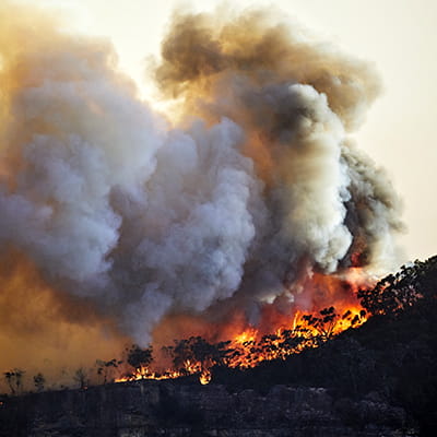 Aerial of bushfire raging through forest with large plumes of smoke