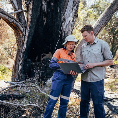 Woman and man outdoors looking at a laptop in front of tree