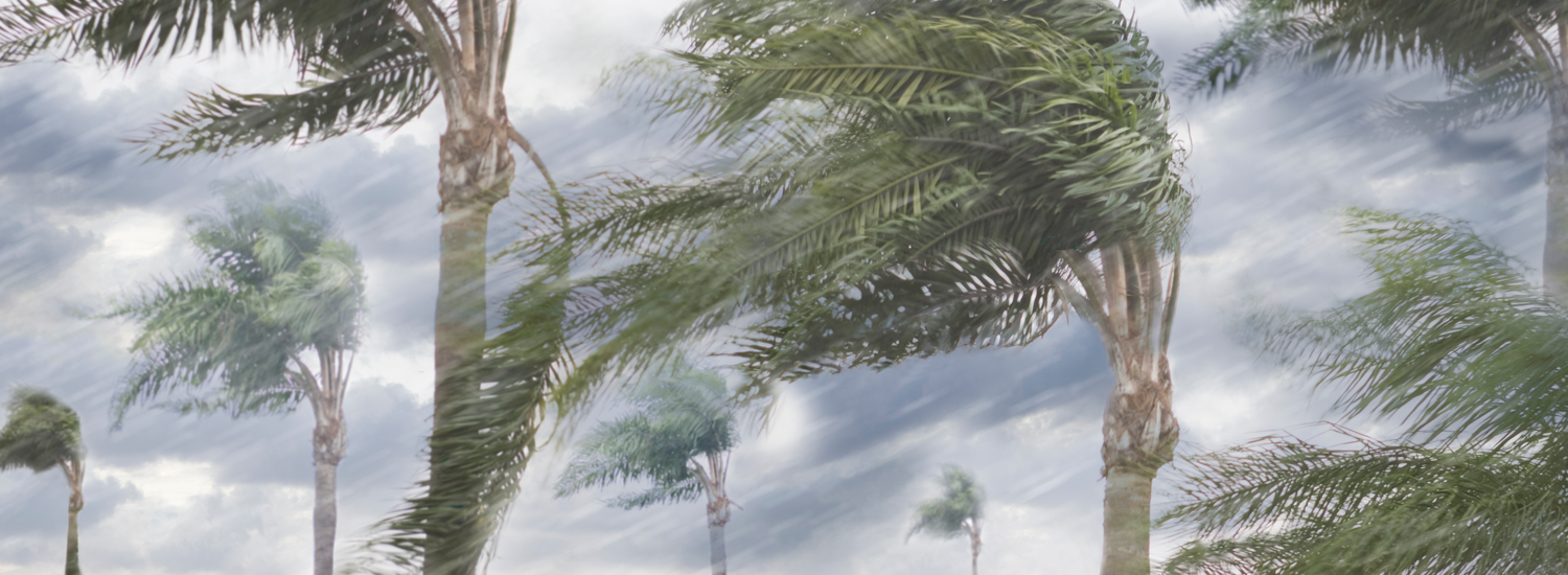 Our guide to staying safe during a cyclone QBE AU