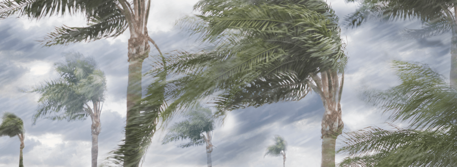 Our guide to staying safe during a cyclone