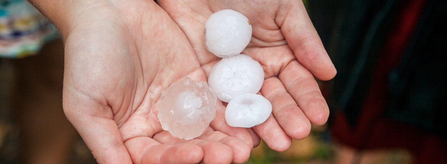 Close-up of large hailstones in palm of woman's hands