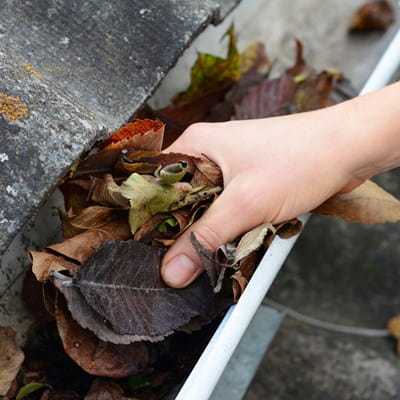 Close-up of a hand cleaning leaves out of a gutter