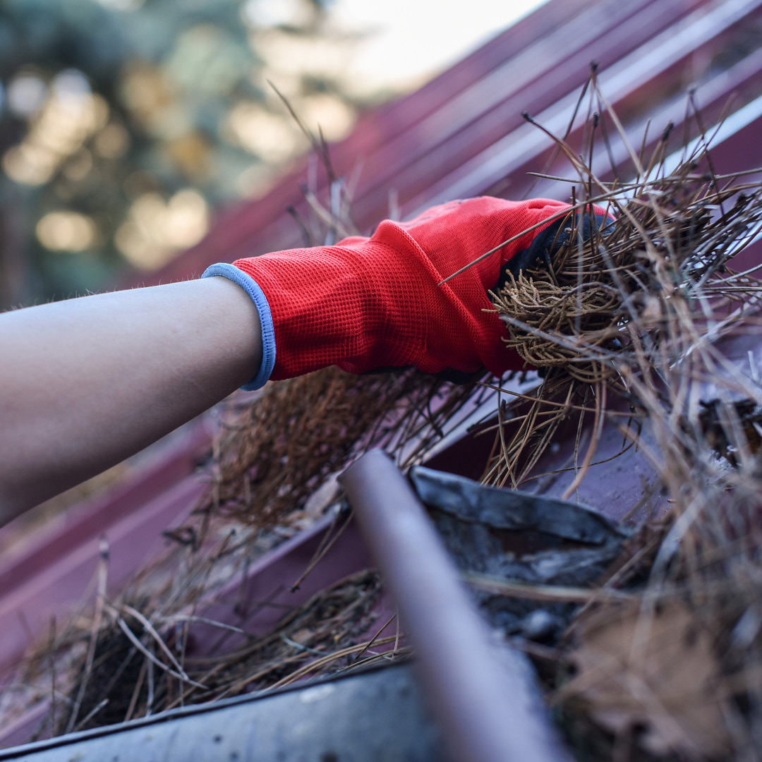 Close up of person clearing debris from roof gutter