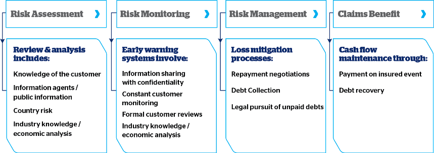 Risk management model