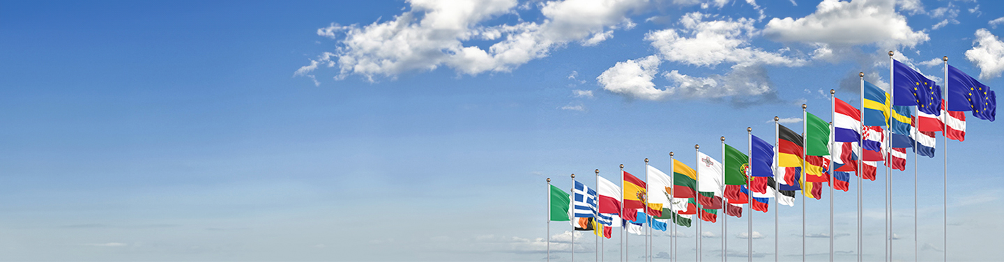 Multinational Insurance Banner