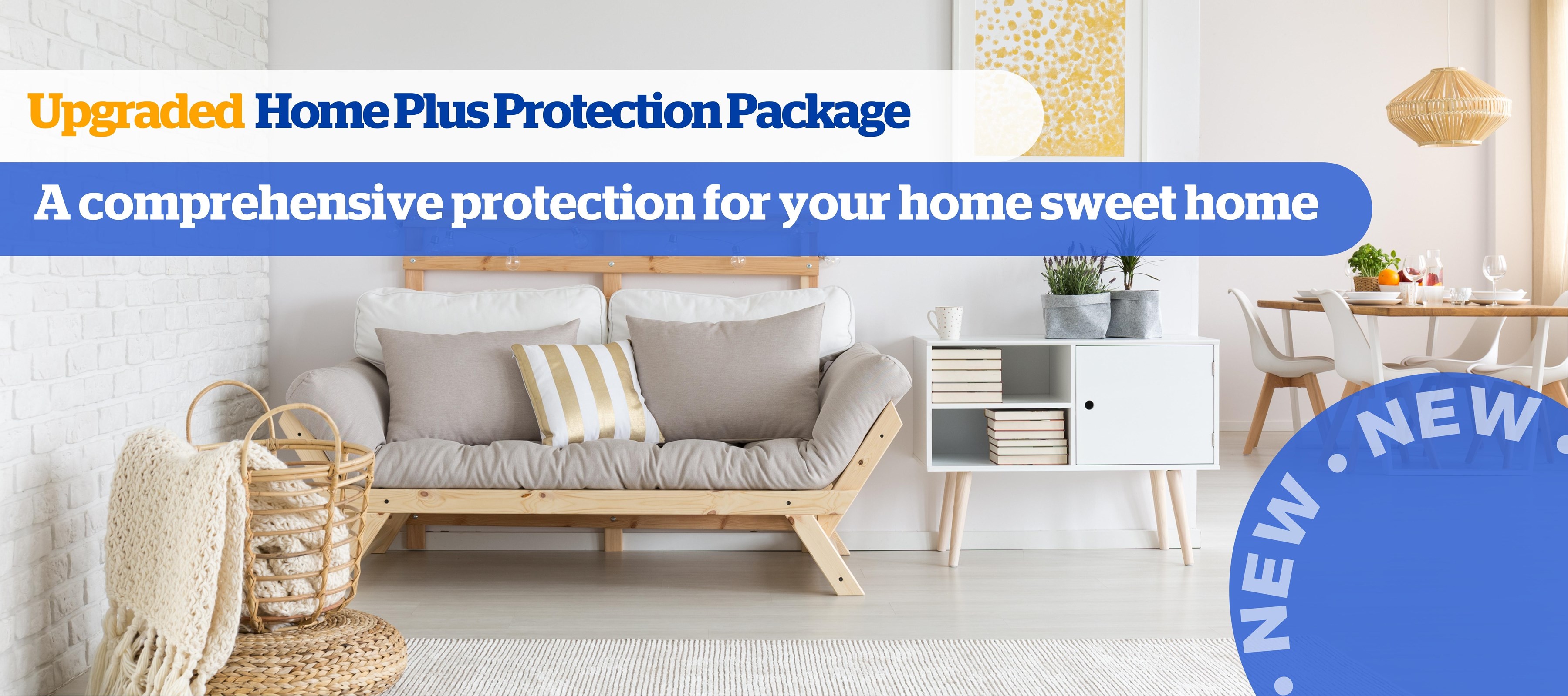 Upgraded Home Plus Protection Package 