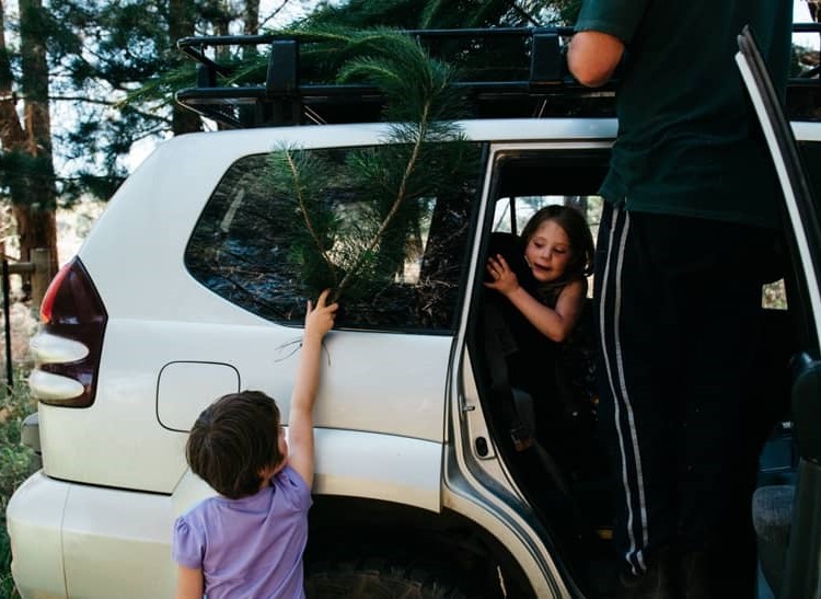 Child standing outside an open car door