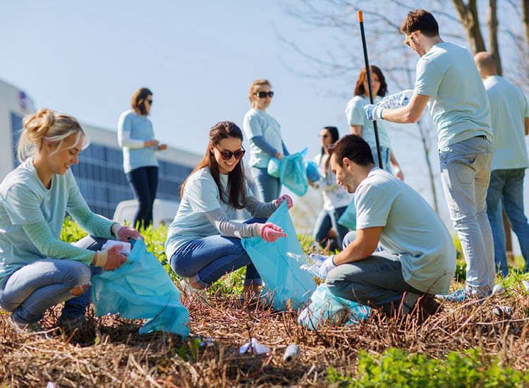Group of volunteers planting trees