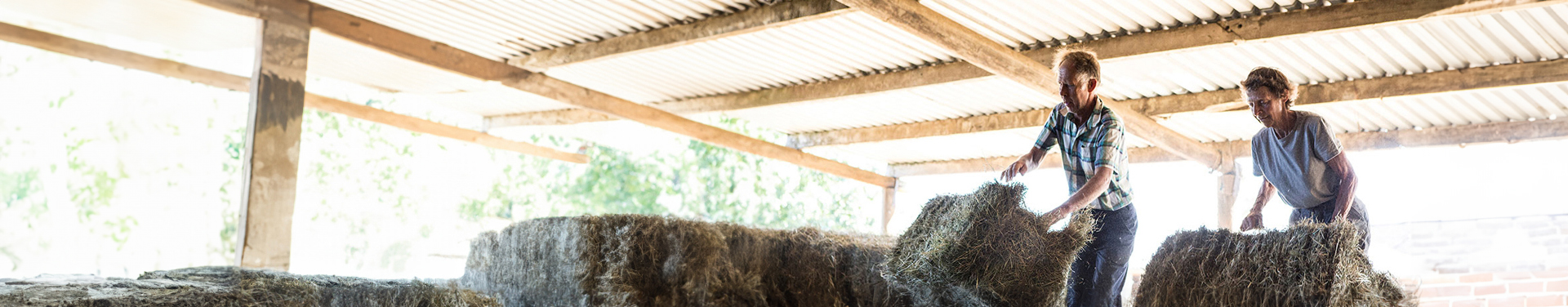 Two farmers stacking hay bales in a barn