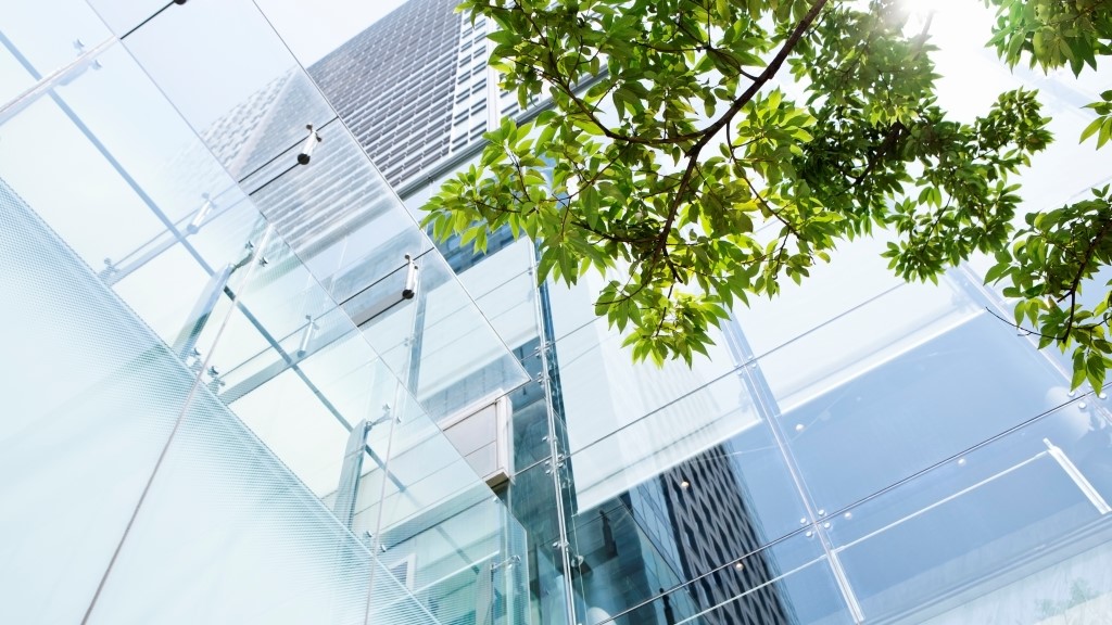 Tree branches in front of a commercial building with glass exterior