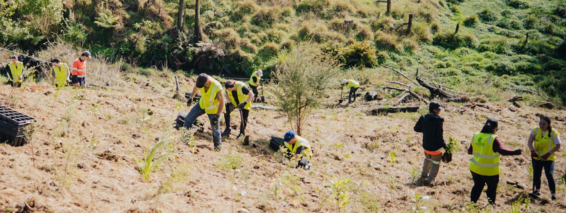 A group of volunteers in high-visibility vests planting young trees across a sloped rural hillside, with farmland and fencing in the background