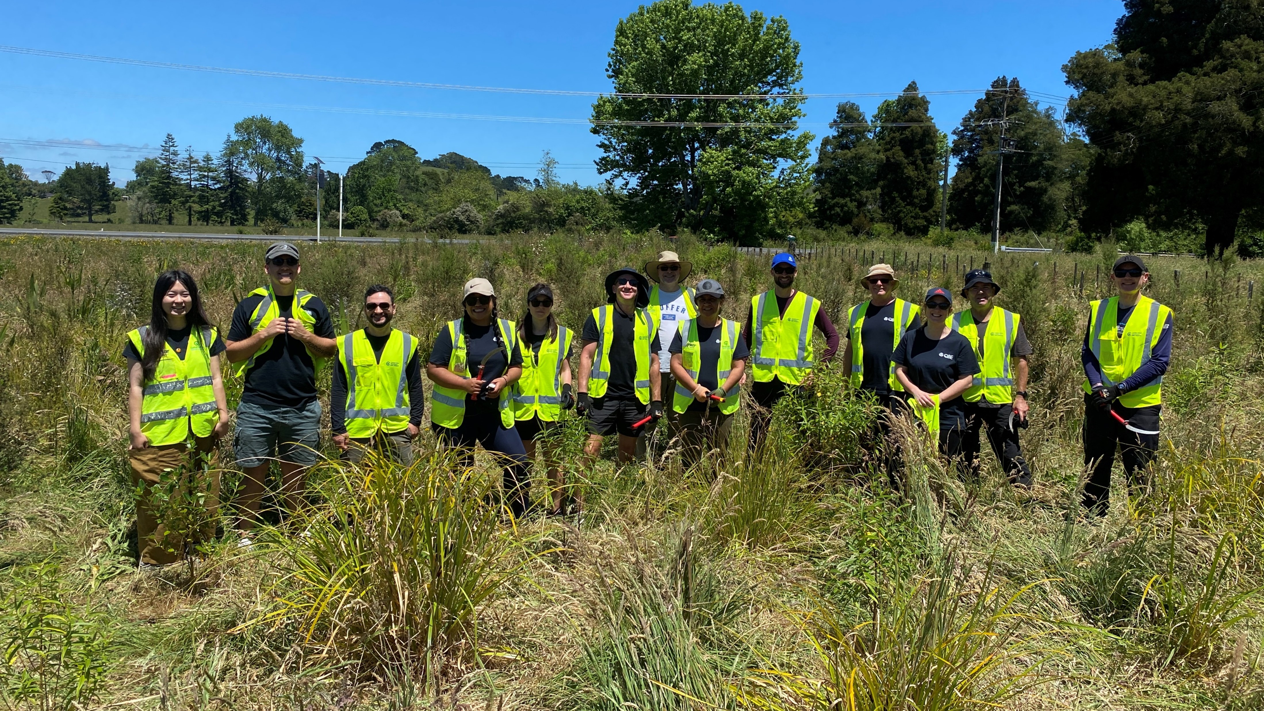 Volunteering with Conservation Volunteers New Zealand.