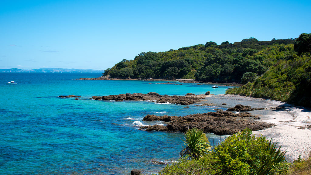 Coastal view of Tiritiri Matangi Island, New Zealand