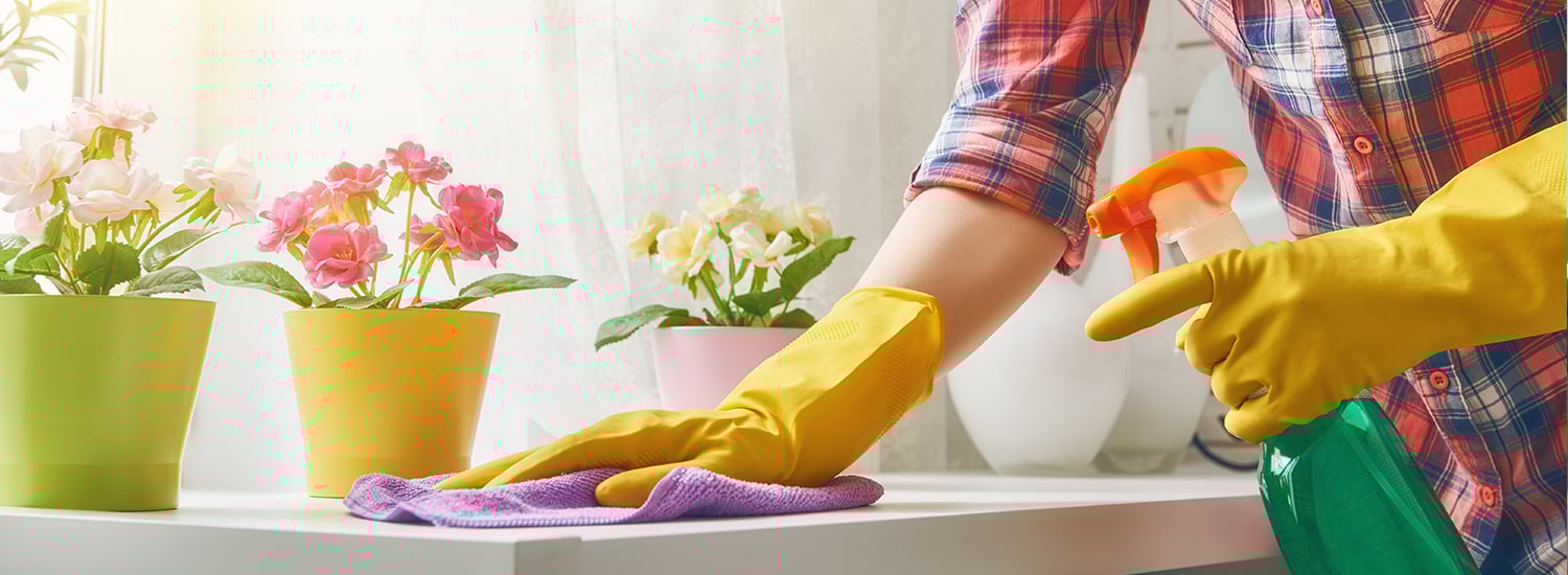 domestic helper