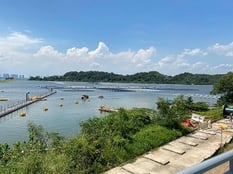 A body of water with people swimming in it Description automatically generated with medium confidence