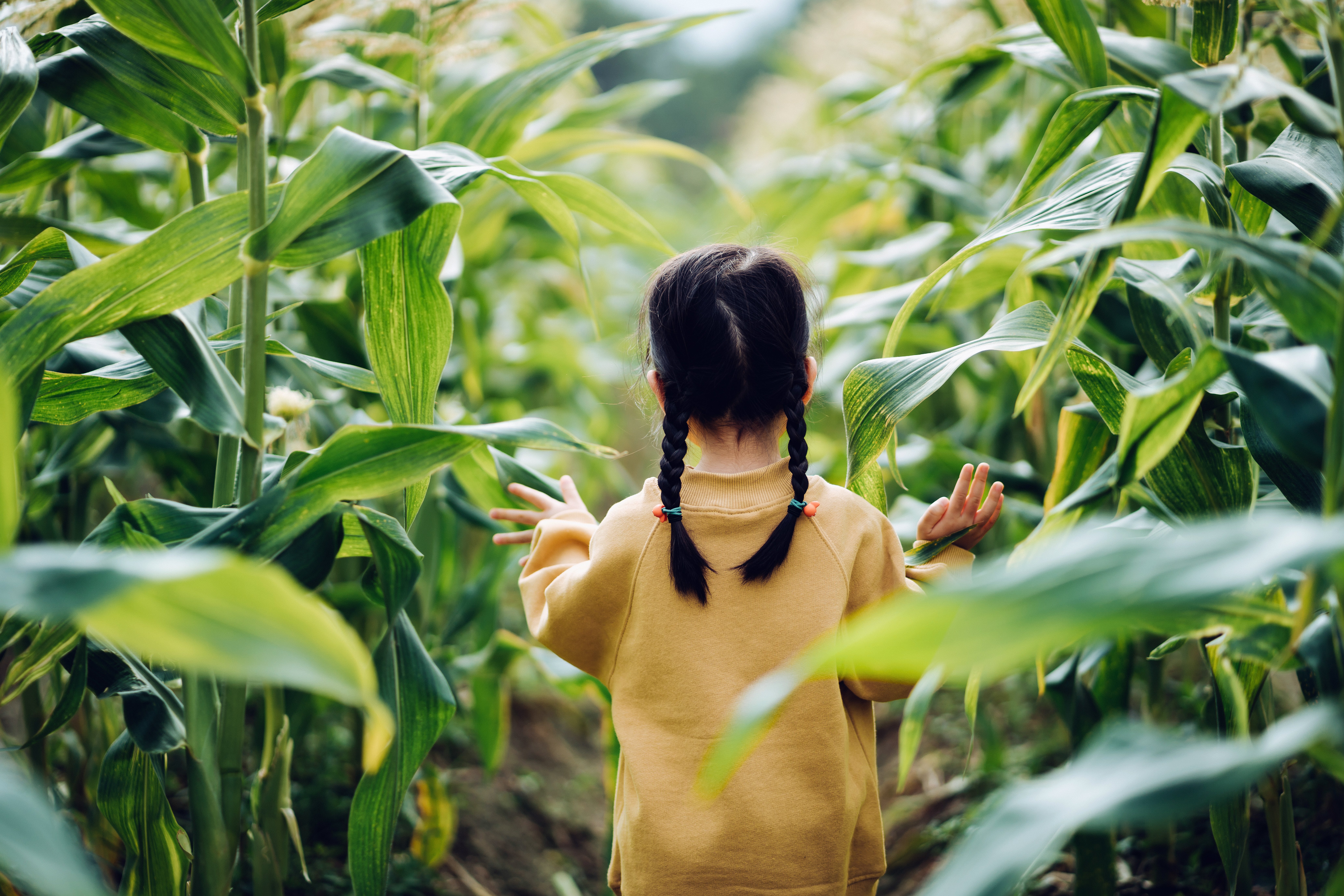 girl wandering in forest