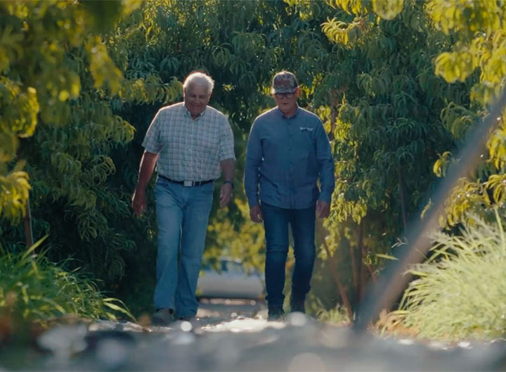 Two people walking through a California orchard during a farm visit.