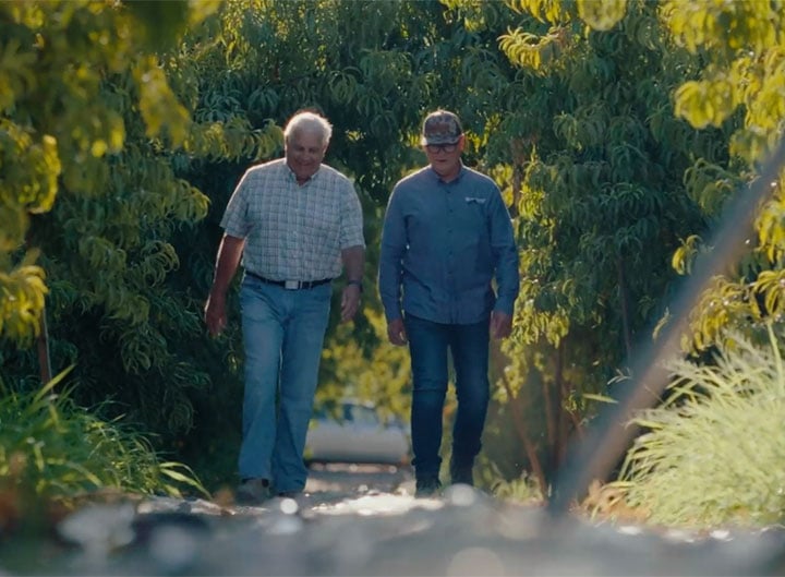 Two people walking through a California orchard during a farm visit.