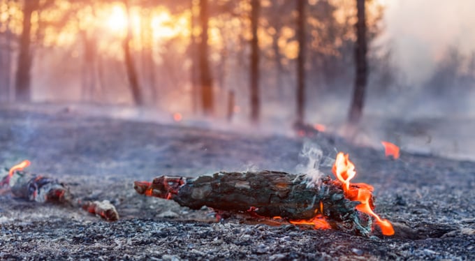 image of fires spreading in the forest and bushes surrounding houses