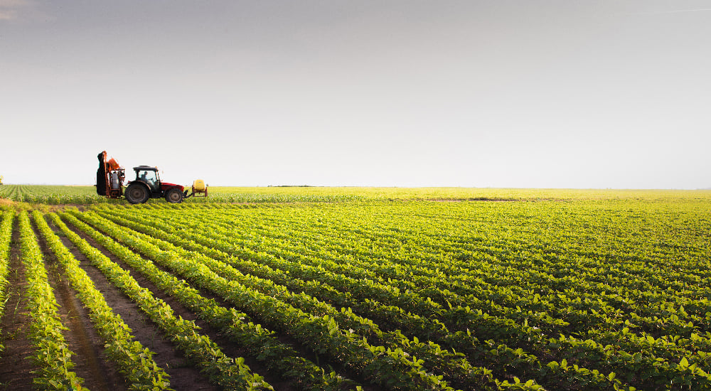tractor and crops