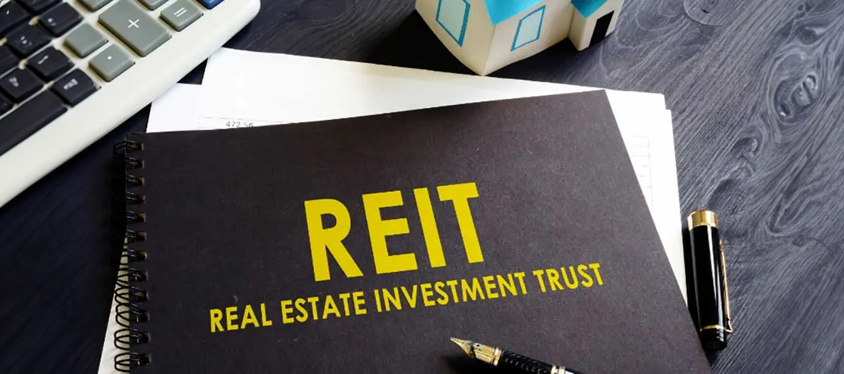 Real estate investment trust