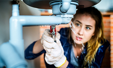 What homeowners should know about mold