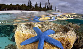 New Caledonia Made Possible