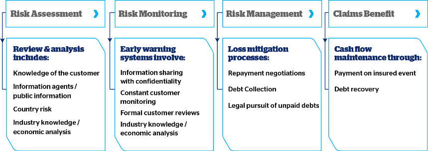 Risk management model